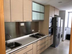 8 @ Mount Sophia (D9), Condominium #543484921